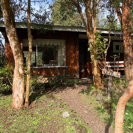 Cabanas El Bosque Patagonico ฟรูติญาร์ ภายนอก รูปภาพ