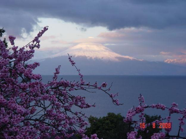 Cabanas El Bosque Patagonico ฟรูติญาร์ ภายนอก รูปภาพ