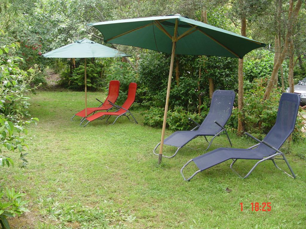 Cabanas El Bosque Patagonico ฟรูติญาร์ ห้อง รูปภาพ