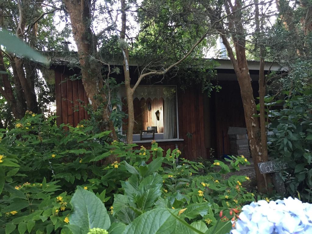 Cabanas El Bosque Patagonico ฟรูติญาร์ ภายนอก รูปภาพ