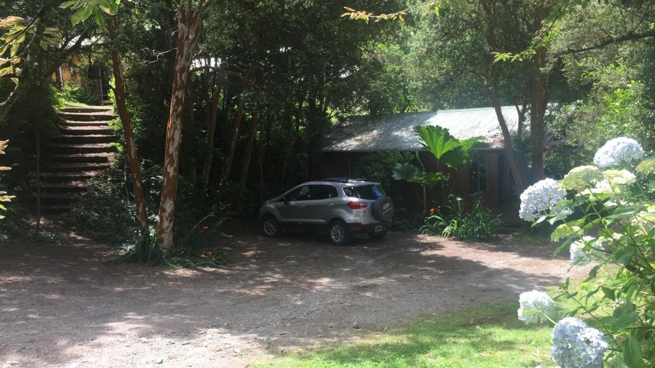 Cabanas El Bosque Patagonico ฟรูติญาร์ ภายนอก รูปภาพ